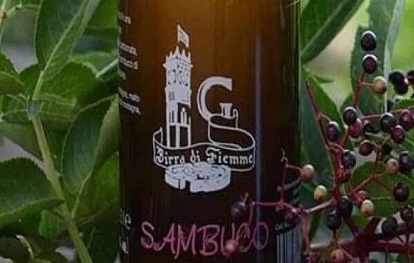 Sambuco-2